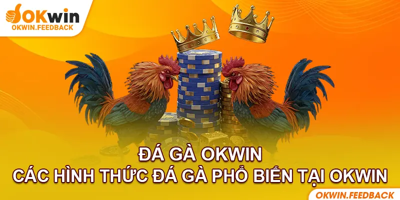 Phát sóng trực tiếp từ trường đấu Thomo nổi tiếng