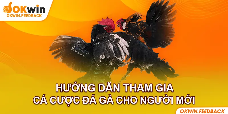 Hướng dẫn chi tiết bạn mới tham gia đặt cược
