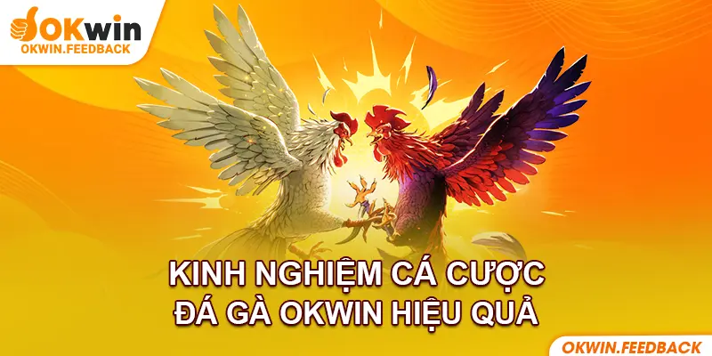 Mách bạn mẹo nhỏ dễ thắng khi đặt cược
