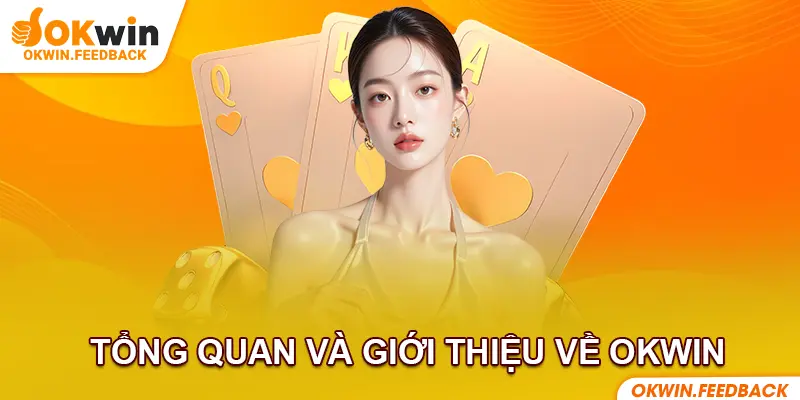 Giới thiệu tổng quan về liên minh OKWIN