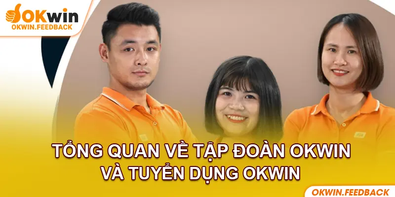 Giới thiệu chi tiết về tập đoàn Okwin